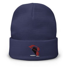Load image into Gallery viewer, Music Lovers Beanie Hat | j and p hats 