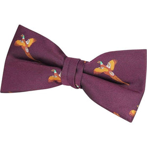 Pheasant Bow Tie In Gift Box - J and p hats Pheasant Bow Tie In Gift Box